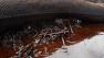 Rough seas halt skimming operations off Gulf Coast