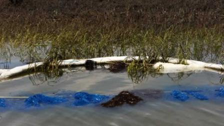 Oil containment booms and other absorbent materials lay in oiled areas of Terrebone Bay near Cocodrie, La. where oil from the Deepwater Horizon oil spill has entered the bay Sunday, July 11, 2010. (AP Photo/Judi Bottoni)