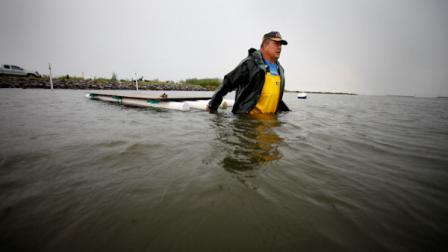 Gulf Oil Spill