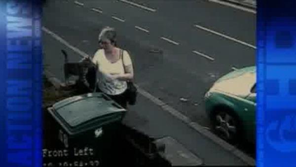 UK cat lady