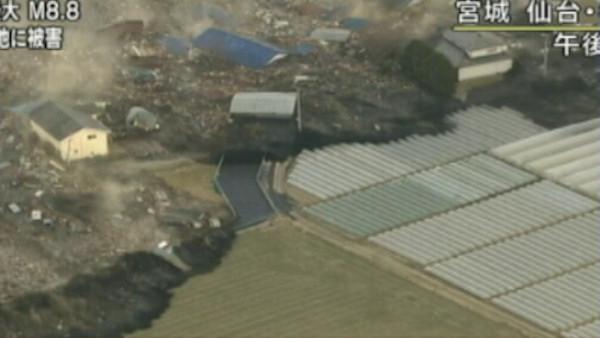 Earthquake and tsunami in Japan