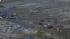 Earthquake and tsunami in Japan