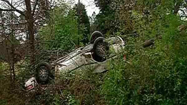 Car crashes into trees on Tyron Road