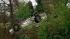 Car crashes into trees on Tyron Road