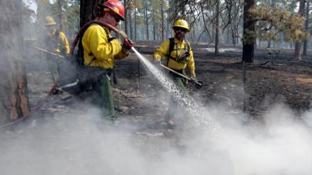 Firefighter Jimmy Niesen, of Surprise, Ariz., sprays water on a hot spot during the Wallow Fire in Greer, Ariz., Saturday, June 11, 2011. Smoke from the huge wildfire in eastern Arizona that has claimed more than 30 homes and forced nearly 10,000 people to flee has officials worried about serious health impacts to residents and firefighters as tiny particles of soot in the air reached astronomical levels. (AP Photo/Jae C. Hong)