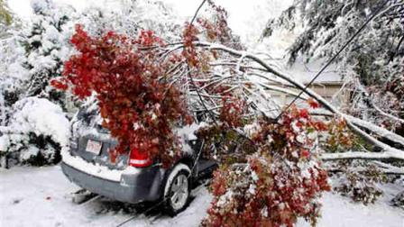 A tree limb and power lines lie on a car in a driveway in Belmont, Mass., Sunday, Oct. 30, 2011. A snowstorm with a ferocity more familiar in February than October socked the Northeast over the weekend, knocking out power to 2.3 million, snarling air and highway travel and dumping more than 2 feet of snow in a few spots as it slowly moved north out of New England.