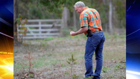 In this photo taken Nov. 8, 2011, David Barfield checks one of his saplings at his Christmas tree farm in New Caney, Texas. Only a handful of the 500 saplings planted have survived the drought this year.