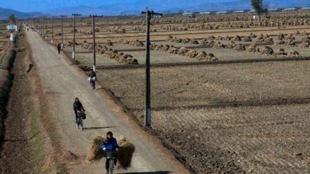 In this Tuesday, Oct. 25, 2011 photo, North Korean farmers pass along a road past farm fields at a collective farm near the town of Sariwon, North Korea. In a landmark shift after three years of tensions, the United States is poised to announce in the coming days its first significant donation of food aid to North Korea _ a small but symbolic offer that is expected to pave the way for long-stalled discussions on dismantling Pyongyangs nuclear program. (AP Photo/David Guttenfelder)