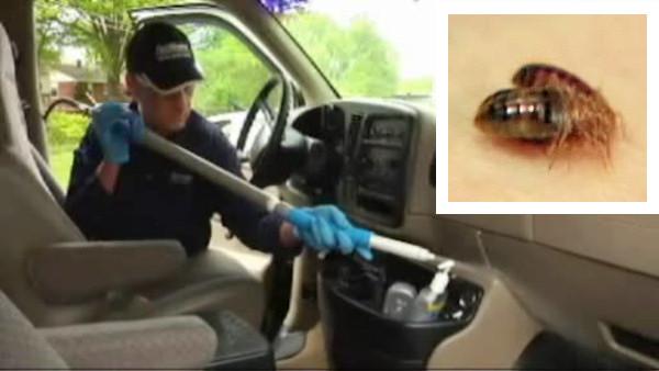 Battling bed bugs in cars | Video | 6abc.com