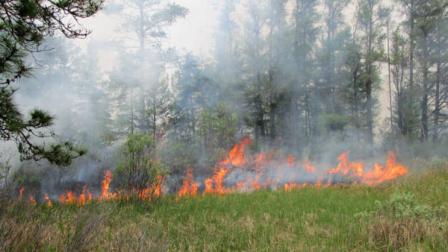 In this photo released by the U.S. Fish and Wildlife Service, the Pine Creek North wildfire is shown at Seney National Wildlife Refuge in Seney, Mich. Wednesday, May 23, 2012. The wildfire in Michigans Upper Peninsula has burned at least 1,500 acres of a wildlife refuge, leading to the expected closing of some trails and roads through the Memorial Day weekend. (AP Photo/U.S. Fish and Wildlife Service)