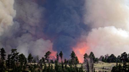 Fire burns trees on the High Park wildfire near Livermore, Colo., on Tuesday, June 19, 2012. The wildfire has burned over 180 homes. The fire already has destroyed at least 189 homes since it was sparked by lightning June 9. Incident commander Bill Hahnenberg said it could be weeks or even months before its finally controlled. (AP Photo/Ed Andrieski)