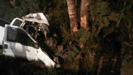 In a photo provided by the Texas Department of Public Safety the wreckage of a pickup truck is seen after it crahed into trees In Goliad County Texas Sunday July 22, 2012. The single vehicle crash in rural South Texas killed 14 people and injured 12 others, all passengers in the truck. (AP Photo/Texas Department of Public Safety)