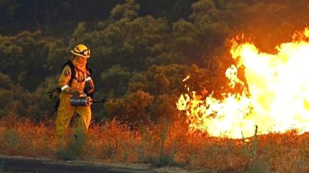 In this photo taken Thur. Aug. 9,2012 and released by the San Diego County Fire Authority, a firefighter sets a backfire along Chihuahua Valley Road in Northern San Diego County. A wildfire ignited by lightning continues to burn out of control in the highlands northeast of Warner Springs, Calif. State fire Battalion Chief Nick Schuler says the 900 acre fire was active overnight and was only 5 percent contained early Friday. (AP Photo/Kevin Pack/San Diego County Fire Authority)