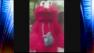 Cursing Evil Elmo on the loose