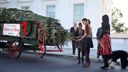 Sasha Obama, third from right, and Malia Obama, second from right, with their mother first lady Michelle Obama, right, touch the 19-foot Fraser Fir from Jefferson, N.C., at the North Portico of the White House in Washington, as they welcome the arrival of the official White House Christmas tree, Friday, Nov. 23, 2012. (AP Photo/Manuel Balce Ceneta)