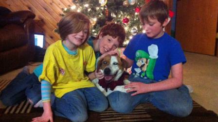 In this undated photo provided by McKenzie Grapengeter, the Grapengeter children, from left, Ava, 6, Greg, 10, and Shane, 9, pose for a photo with their dog, Abby, who is blind and went missing more than a week ago during heavy snow storms, at their Fairbanks, Alaska home. After walking 10 miles to the edge of a local mushers dog yard, Abby the brown-and-white mixed breed was found and returned to her owners on Sunday, just in time for Christmas. (AP Photo/Courtesy McKenzie Grapengeter)