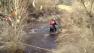 Dozens of stranded Arizona hikers rescued