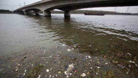 A dead pig floats on the river Monday, March 11, 2013 on the outskirts of Shanghai, China. A recent surge in the dumping of dead pigs upstream from Shanghai - with more than 2,800 carcasses floating into the financial hub through Monday - has followed a police campaign to curb the illicit trade in sick pig parts. (AP Photo/Eugene Hoshiko)