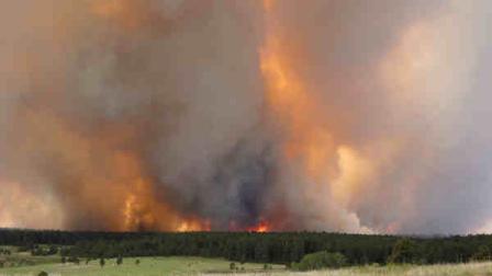 Fire crowns in the trees on a wildfire in the Black Forest area north of Colorado Springs, Colo., on Wednesday, June 12, 2013. The number of houses destroyed by a wildfire near Colorado Springs could grow to around 100, and authorities fear its possible that some people who stayed behind might have died. (AP Photo/Ed Andrieski)