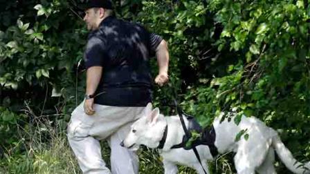 East Cleveland police search Sunday, July 21, 2013, near where three bodies were recently found, in East Cleveland, Ohio. The bodies, believed to be female, were found about 100 to 200 yards (90 to 180 meters) apart, and a 35-year-old man was arrested and is a suspect in all three deaths, though he has not yet been charged, East Cleveland Mayor Gary Norton said Saturday. (AP Photo/Tony Dejak)