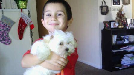 In this family photo released by Melody Russell and provided by the Tampa Police, 5-year-old Marcus Russell holds Honey, the familys 12-week-old Shih Tzu. Police say burglars broke into Melody Russells home, stole her two childrens gifts from under the tree and snatched the familys puppy. (AP Photo/Melody Russell via the Tampa Bay Police)