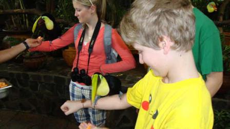 David Murphys kids communing with toucans at a Costa Rican hotel.