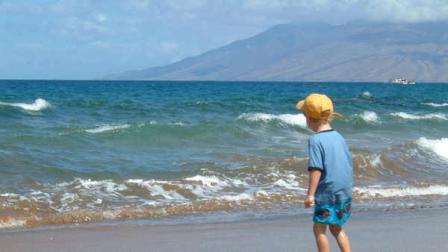 David Murphys kids travelled well to Hawaii, despite the distance.