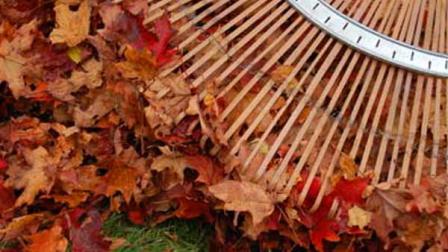Raking leaves for some neighborhood seniors: David Mutphy says its just one of many community service activities for you and your kids.