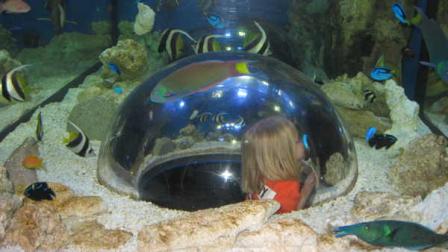 David Murphy reviews the new KidZone at Adventure Aquarium.