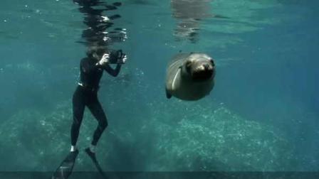 An image from the NOAAs new Oceat Today kiosk at Adventure Aquarium.