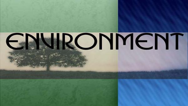 Action News is taking a look at the candidates and their stances on the environment.