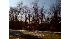 Enormous rise in local UFO sightings