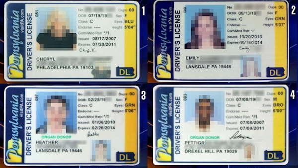 Can you spot the fake Pa. drivers license?
