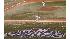 WORLD SERIES 2008
