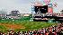 Harry Kalas