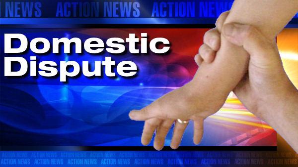 Domestic dispute