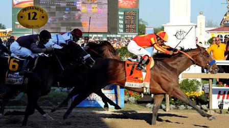 Preakness