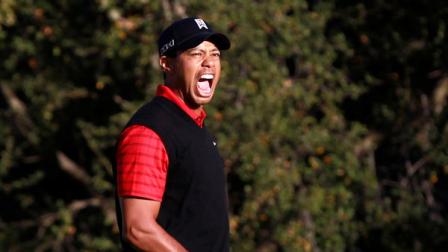 Tiger Woods reacts after winning the Chevron World Challenge golf tournament at Sherwood Country Club, Sunday, Dec. 4, 2011, in Thousand Oaks, Calif. (AP Photo/Danny Moloshok)