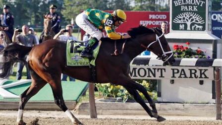 Palace Malice, ridden by jockey Mike Smith, crosses the finish line to win the the 145th Belmont Stakes horse race at Belmont Park Saturday, June 8, 2013, in Elmont, N.Y. (AP Photo/Frank Franklin II)