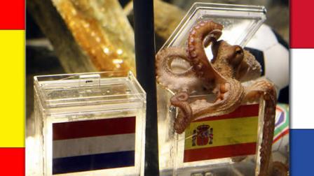 paul the octopus