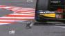 Lucky Bird Narrowly Avoids Racer in Monaco