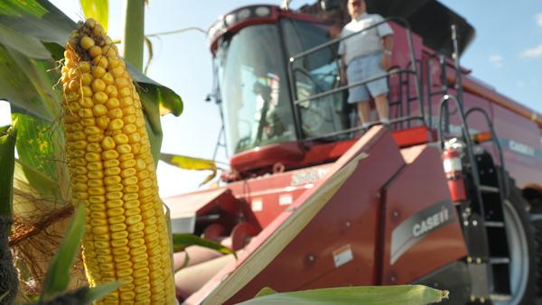 Doug Kleckner stands on his combine looking at an ear of corn on his farm near St. Ansgar, Iowa, Tuesday Sept. 15, 2009. Kleckner, like many farmers across the country, is getting ready to begin what experts predict, could be a record harvest. (AP Photo/Steve Pope)