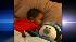 Bedtime at Ricks house