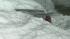 Snowstorm hits the area