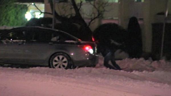 Snowstorm hits the area