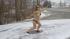 Swimsuits in the snow!