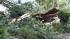 Storm damage