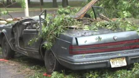 On County Road 571, a large tree flattened a Buick killing the person inside.