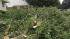 The severe weather focused its attention on...