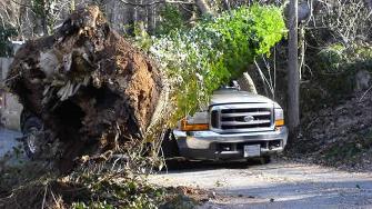 A tree fell on this pickup truck in Chapel Hill Wednesday (Photo from ABC11 viewer Dave M)